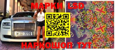 МДПВ Донской