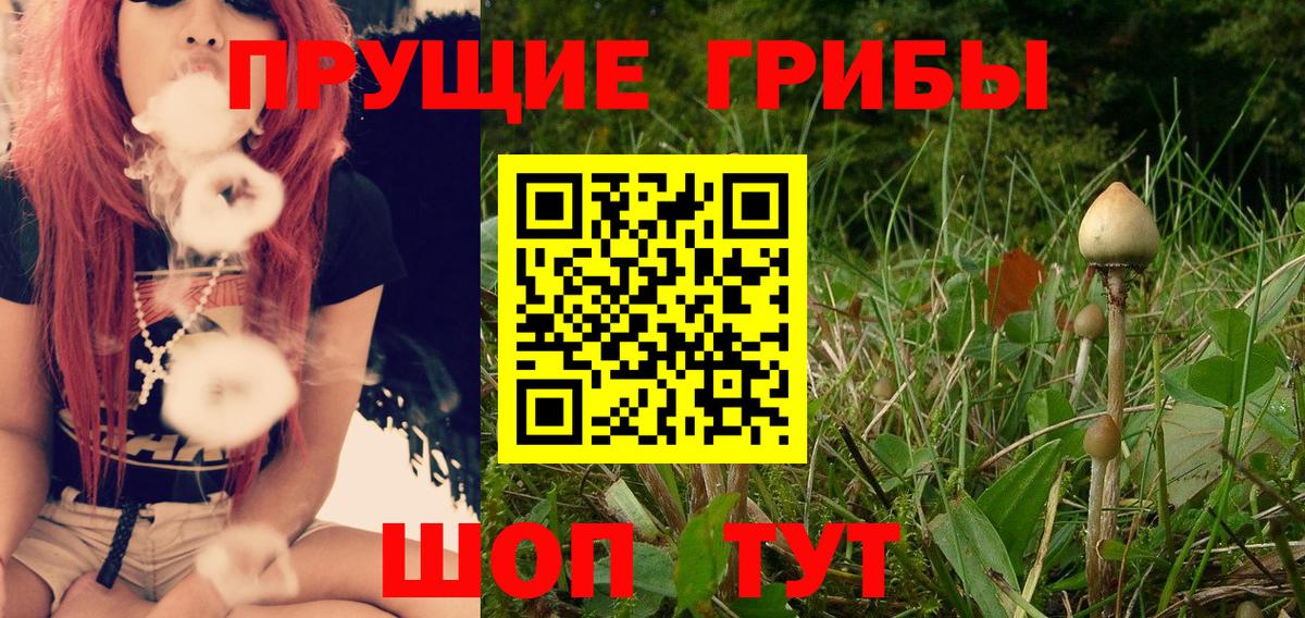 Псилоцибиновые грибы Cubensis Мегион