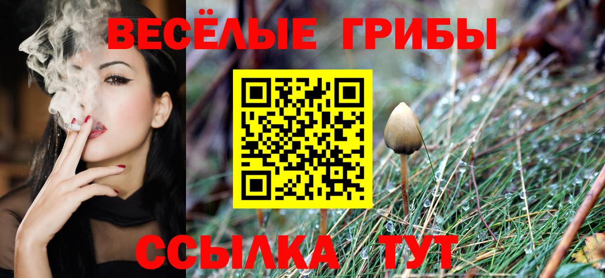 Мегион  Псилоцибиновые грибы прущие грибы  как найти закладки  Вход с VPN  Псилоцибиновые грибы мицелий 